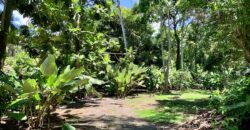 12 Acre Beachfront Property in Osa Peninsula
