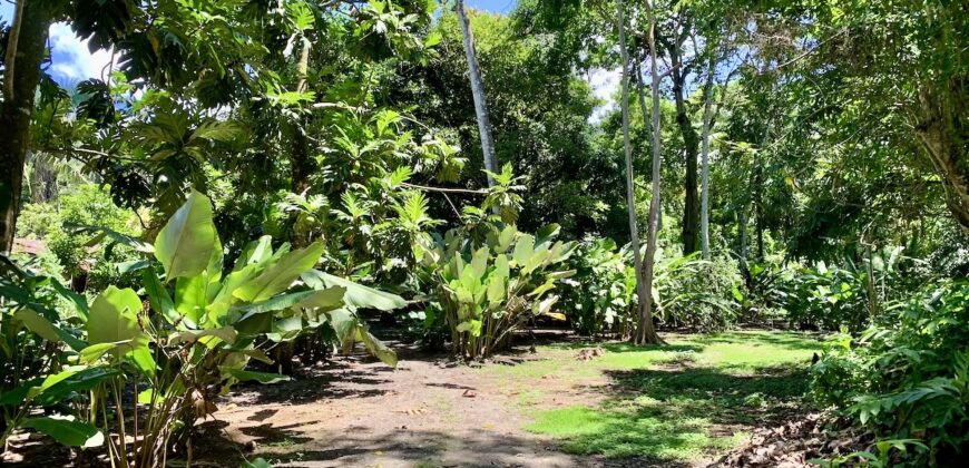 12 Acre Beachfront Property in Osa Peninsula