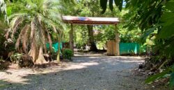 12 Acre Beachfront Property in Osa Peninsula