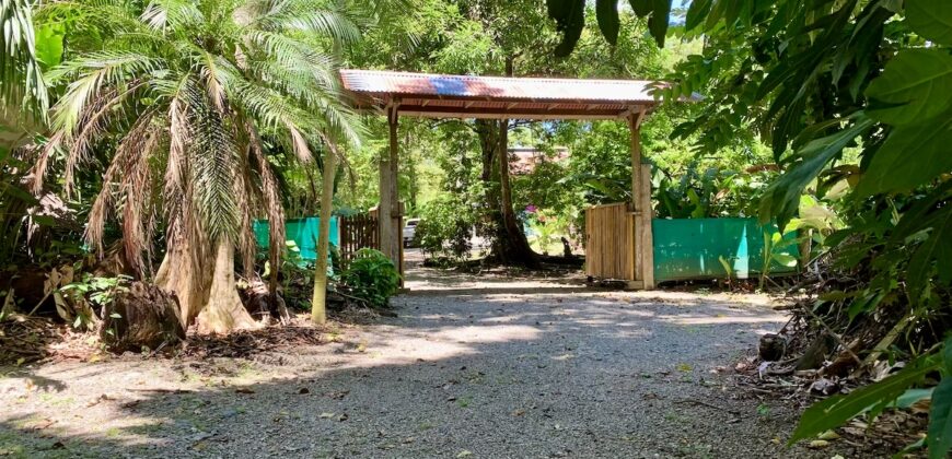 12 Acre Beachfront Property in Osa Peninsula