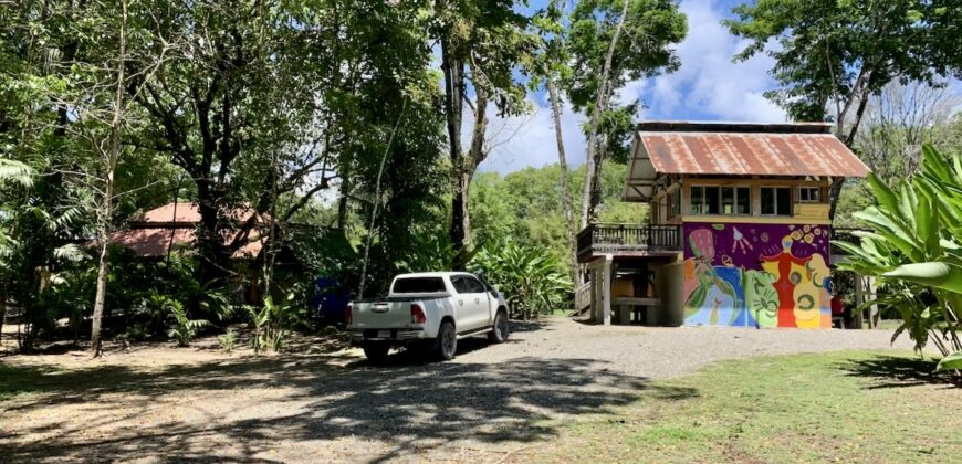 12 Acre Beachfront Property in Osa Peninsula