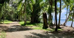 12 Acre Beachfront Property in Osa Peninsula