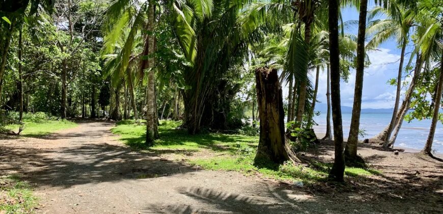 12 Acre Beachfront Property in Osa Peninsula