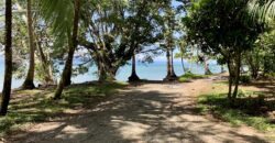 12 Acre Beachfront Property in Osa Peninsula