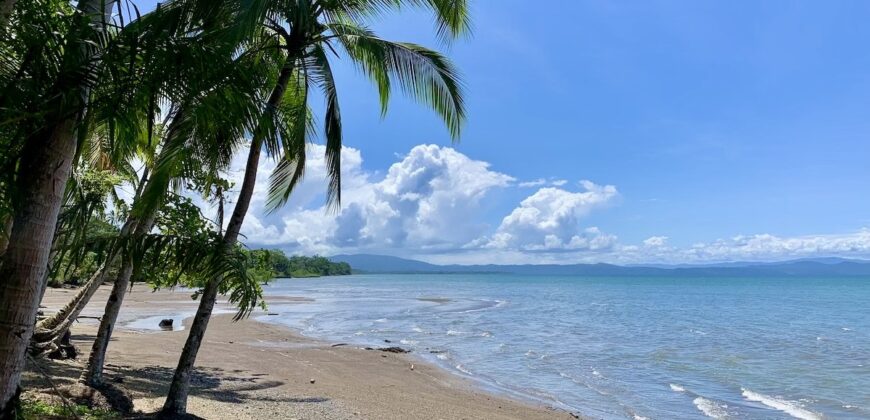 12 Acre Beachfront Property in Osa Peninsula