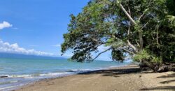 12 Acre Beachfront Property in Osa Peninsula