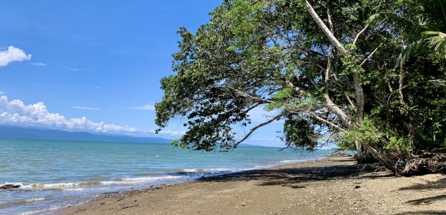 12 Acre Beachfront Property in Osa Peninsula