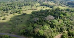 Great Homestead Property in the Osa Peninsula