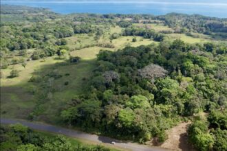 Great Homestead Property in the Osa Peninsula