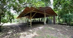 12 Acre Beachfront Property in Osa Peninsula