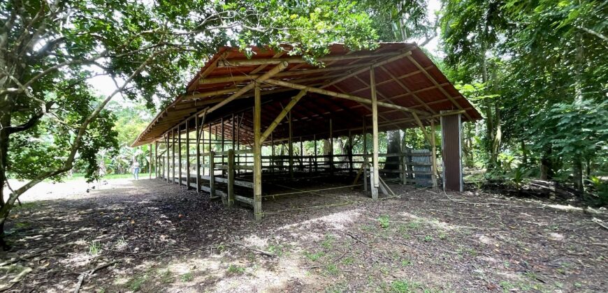 12 Acre Beachfront Property in Osa Peninsula