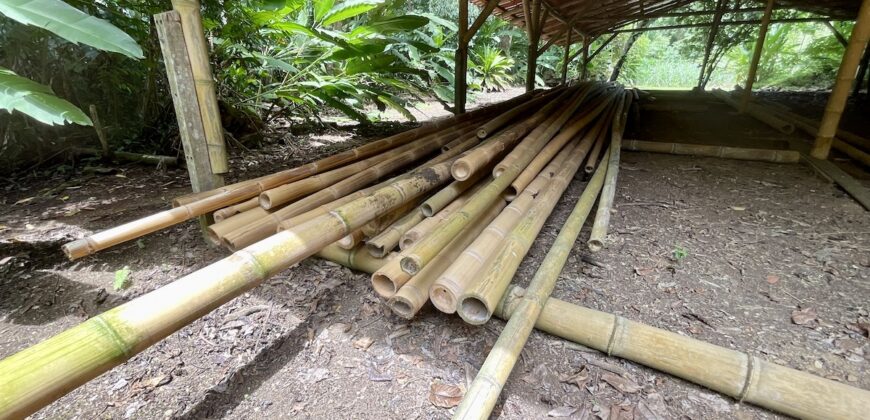 12 Acre Beachfront Property in Osa Peninsula