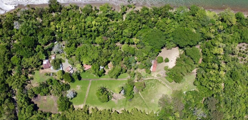 12 Acre Beachfront Property in Osa Peninsula