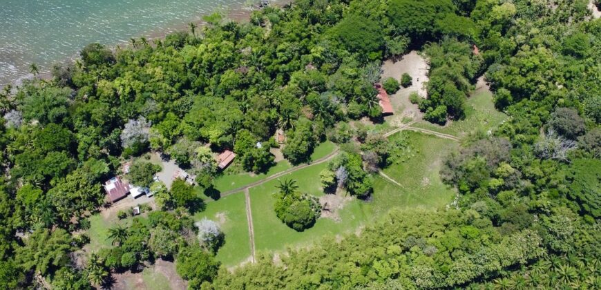 12 Acre Beachfront Property in Osa Peninsula