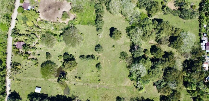 Ideal Osa Peninsula Property for Estate or Homestead