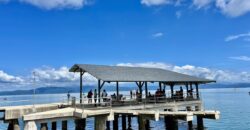 Two House Property Puerto Jimenez Waterfront