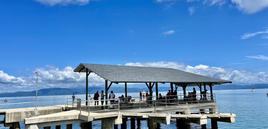 Two House Property Puerto Jimenez Waterfront