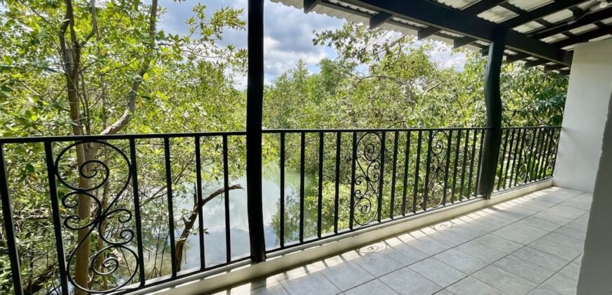 Two House Property Puerto Jimenez Waterfront