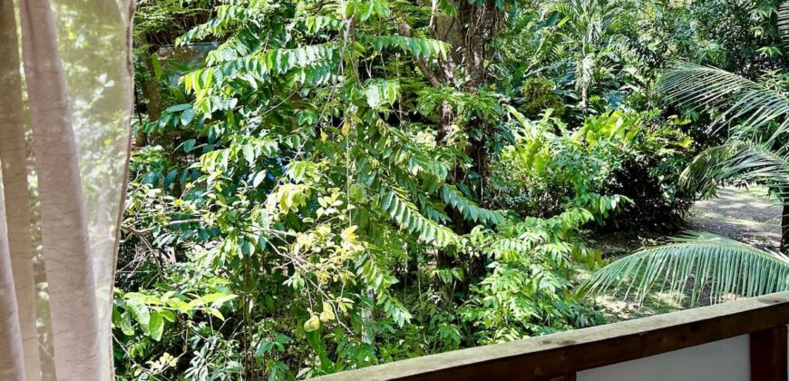 Point Break Beachfront Property Osa Peninsula