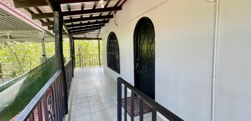 Two House Property Puerto Jimenez Waterfront