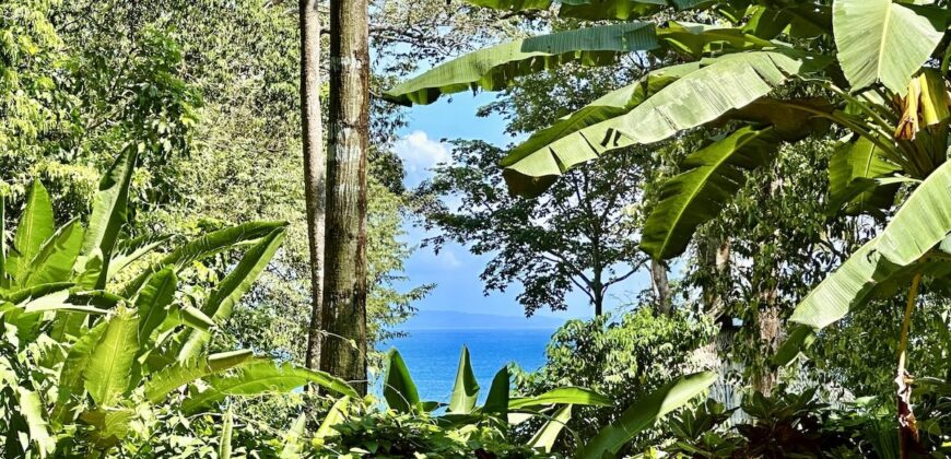 Point Break Beachfront Property Osa Peninsula