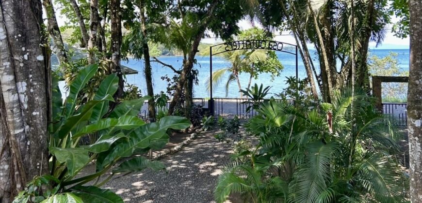 Two House Property Puerto Jimenez Waterfront