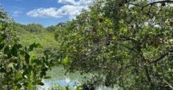 Two House Property Puerto Jimenez Waterfront