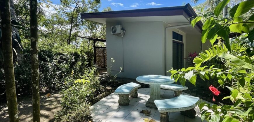 Two House Property Puerto Jimenez Waterfront