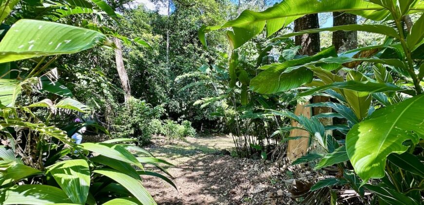 Point Break Beachfront Property Osa Peninsula