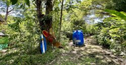 Point Break Beachfront Property Osa Peninsula