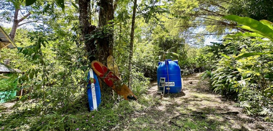 Point Break Beachfront Property Osa Peninsula