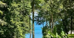 Point Break Beachfront Property Osa Peninsula