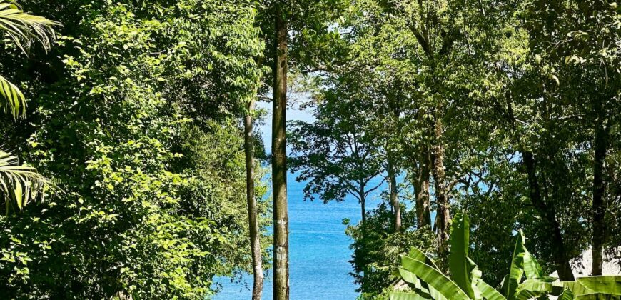 Point Break Beachfront Property Osa Peninsula