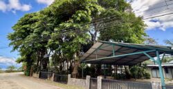 Two House Property Puerto Jimenez Waterfront