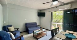 Two House Property Puerto Jimenez Waterfront