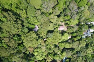 Two House Property Matapalo Beach Osa Peninsula