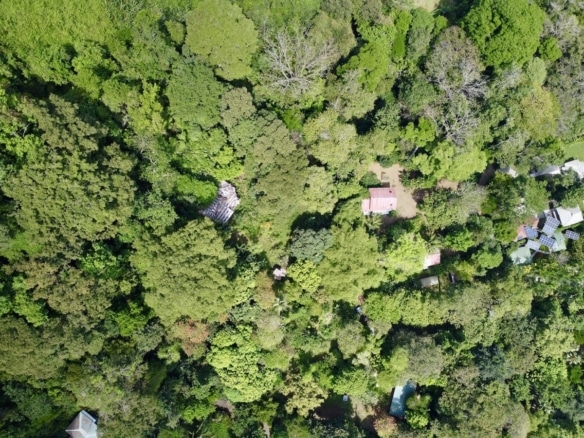 Area frequented by monkeys, toucans, and scarlet macaws. 