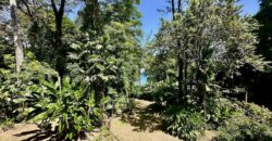 Point Break Beachfront Property Osa Peninsula