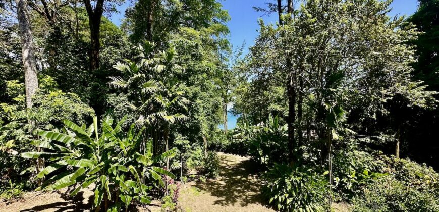 Point Break Beachfront Property Osa Peninsula