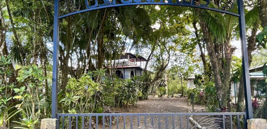 Two House Property Puerto Jimenez Waterfront