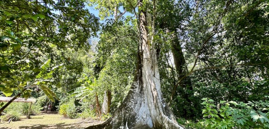 Point Break Beachfront Property Osa Peninsula