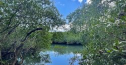 Two House Property Puerto Jimenez Waterfront