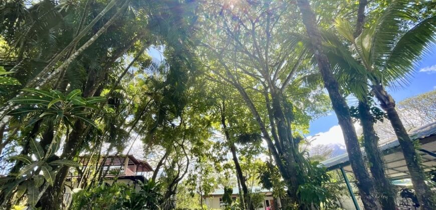 Two House Property Puerto Jimenez Waterfront