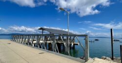 Two House Property Puerto Jimenez Waterfront