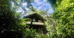 Point Break Beachfront Property Osa Peninsula