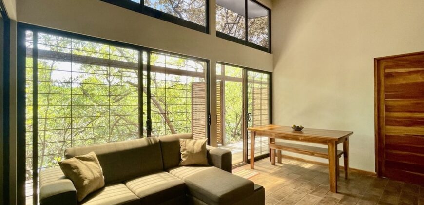 Two House Property Puerto Jimenez Waterfront