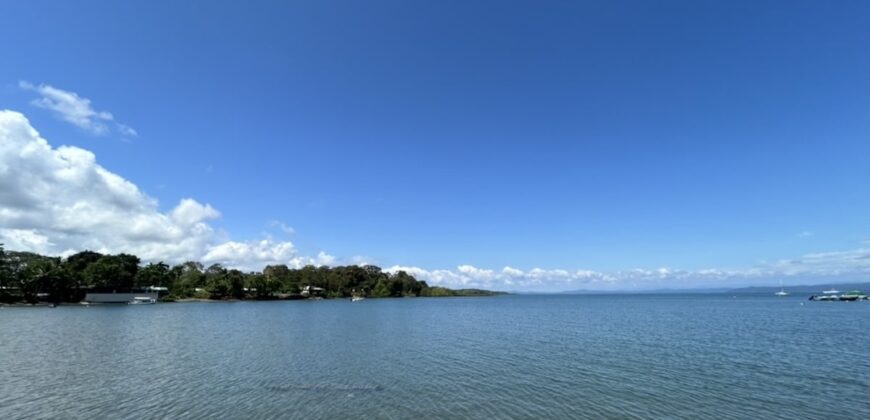 Two House Property Puerto Jimenez Waterfront