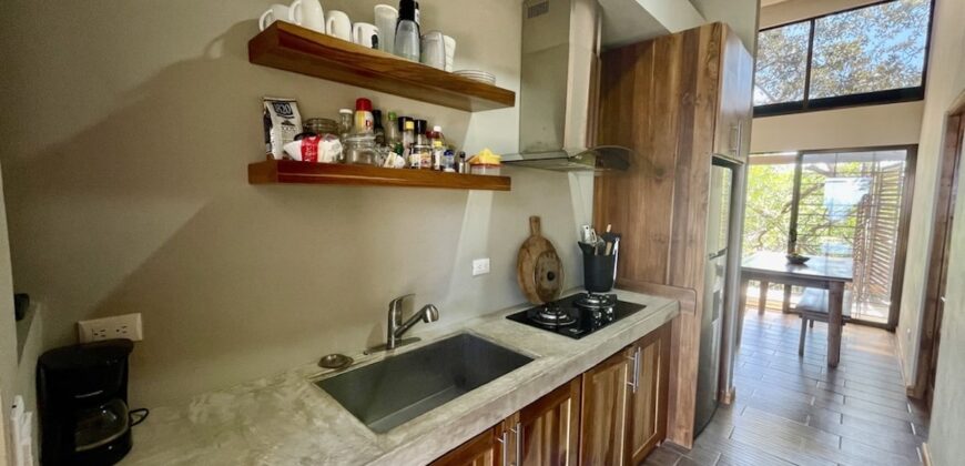 Two House Property Puerto Jimenez Waterfront