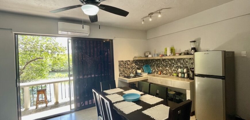 Two House Property Puerto Jimenez Waterfront