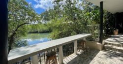 Two House Property Puerto Jimenez Waterfront